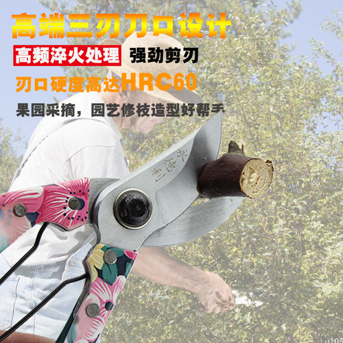 Branch trimming shears, thick branch scissors, flower scissors, pruning shears, fruit tree pruning shears, gardening and landscaping, labor-saving orchard, colorful scissors