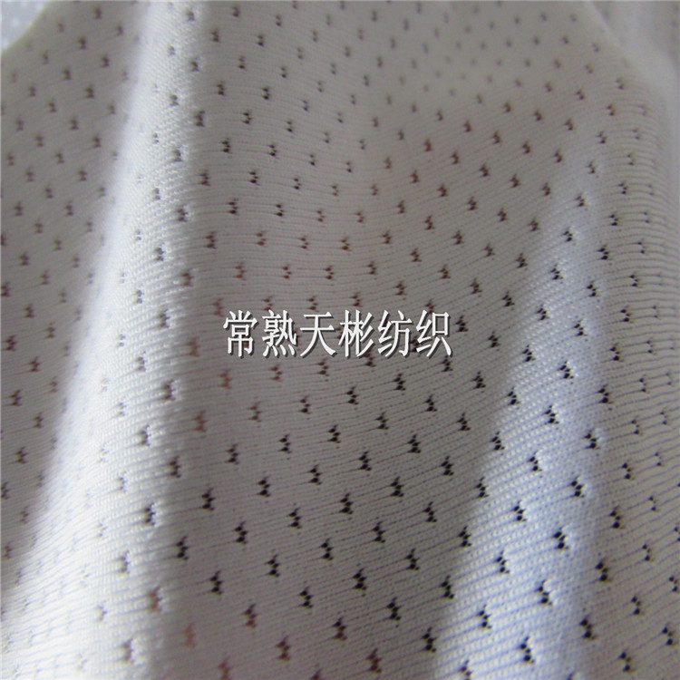 弹力网布 涤纶 蝴蝶网布 涤氨 涤氨网布 蝴蝶网布 涤氨蝴蝶网