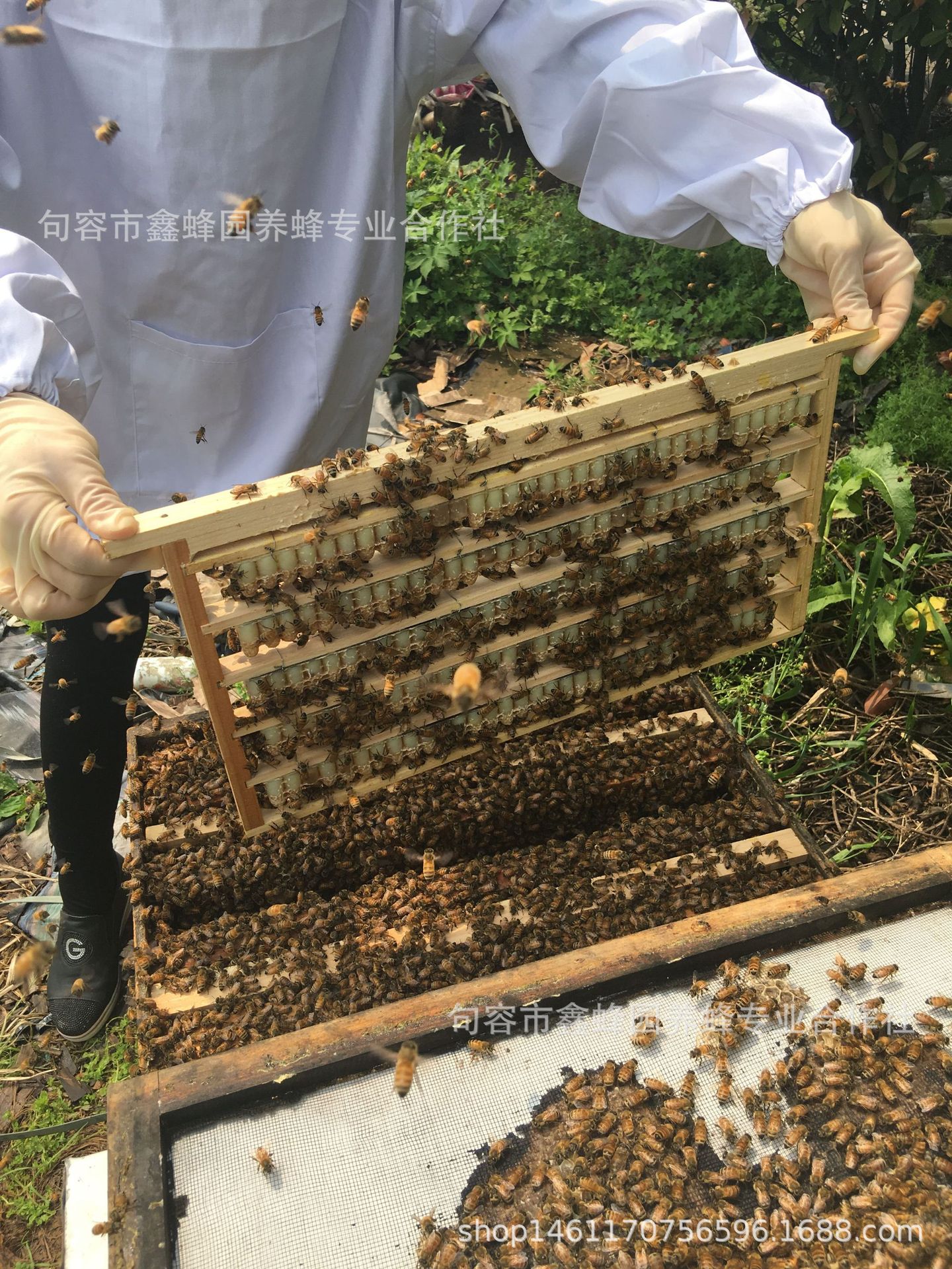 QQ图片20181125204737