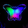 Home Furnishing Butterfly LED plug -in small night light Chinese plug -in small night light colorful plastic LED light manufacturer direct sales