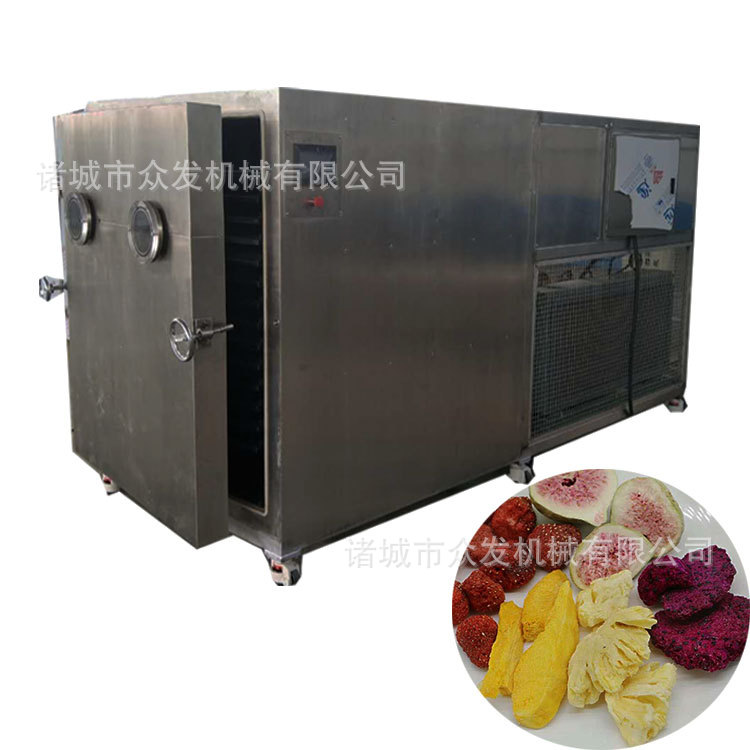 供应椰子片真空冷冻干燥机 果糖椰蓉冻干设备 果蔬真空冻干机