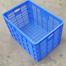 �S�����a5̖ �������D�j ���z���D�� �߲˿�