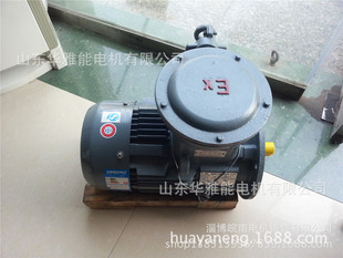 YBK3-200L2-6-22늙C���WEG늙CYBK3늙C�����TH������F12�ͺ�