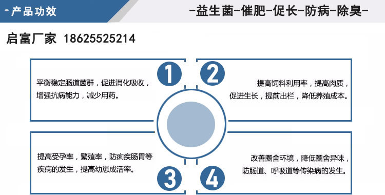 启富猪儿健益生菌催肥
