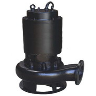 ZJQ50-35J�p�g����ˮ���{��|��ʽ��ˮ���۱� ��ɰ�� �ӵ����ٱ�