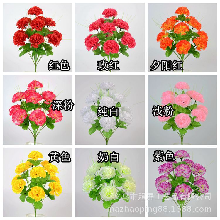 12头果绿枝干康乃馨详情0.jpg