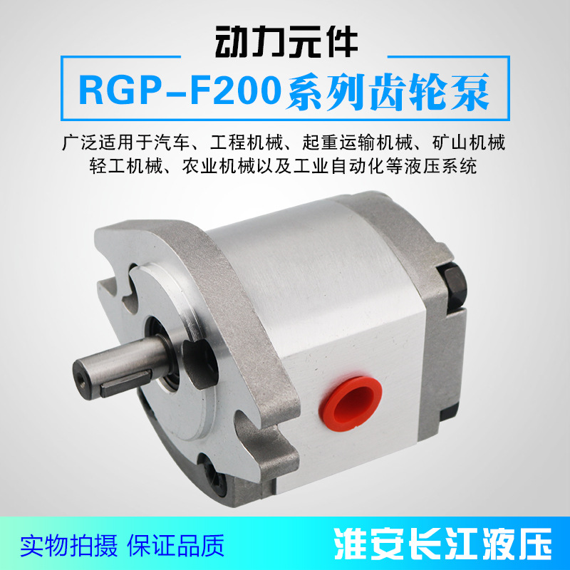 RGP-F200系列齿轮泵高效液压齿轮油泵长期供应液压齿轮泵长江液压