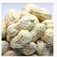 ˮ����Ư��/���ׄ� ��ֹ��֮��l�ڡ��l�S ���ƻ����İ׶�