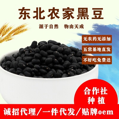 批发2020东北绿芯黑豆农家自产黑豆粗粮绿心黑豆豆浆500g支持OEM