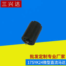 厂家供应 微型直流马达 17SYK24直流空心杯电机 微小型直流电机