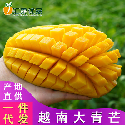 Vietnam Imported Qingmang fresh Peel Mango daikin Seasonal fruit goods in stock On behalf of