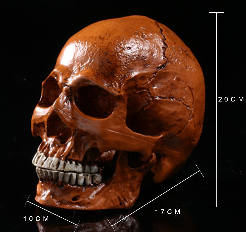 骷髅头-103 (2)_副本