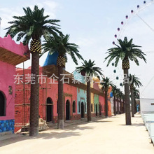 ����h���ȼ������溣��� ���^�����Ŀ�٘������Ж|�y���溣��