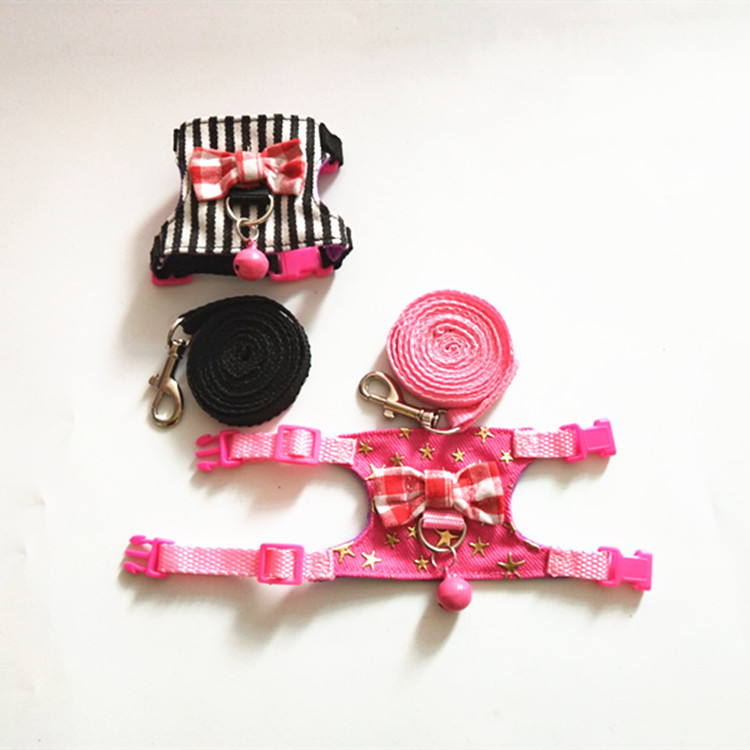 33656389C5222646862BE874E28F26