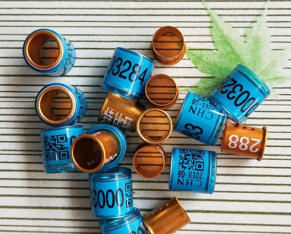 特比鸽子足环2018年不带证统一特比环中鸽协脚圈信鸽用品用具