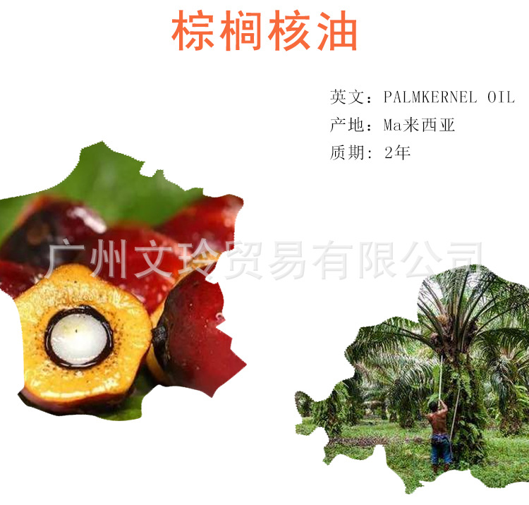 棕榈核油_02.jpg