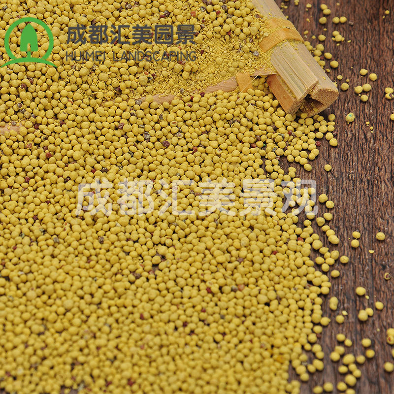 批发袋装白花三叶草种子22.7kg四季常青园林景观庭院绿化草坪种籽|ms