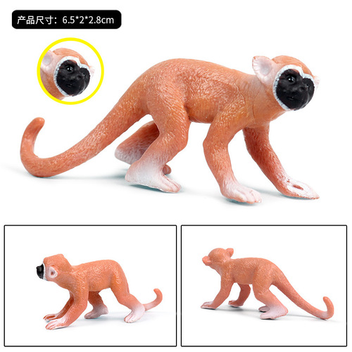 Children's cognitive plastic toy solid simulation wild animal model mini squirrel monkey zoo monkey model