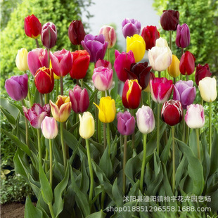 �ذ�������N�򻨻ܺ��m�M��������N��5�����ͺ��҃���ֲ������