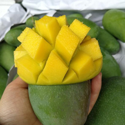 Vietnamese sweet awn Mango fresh Mango Sweetheart Qingmang Mango On behalf of