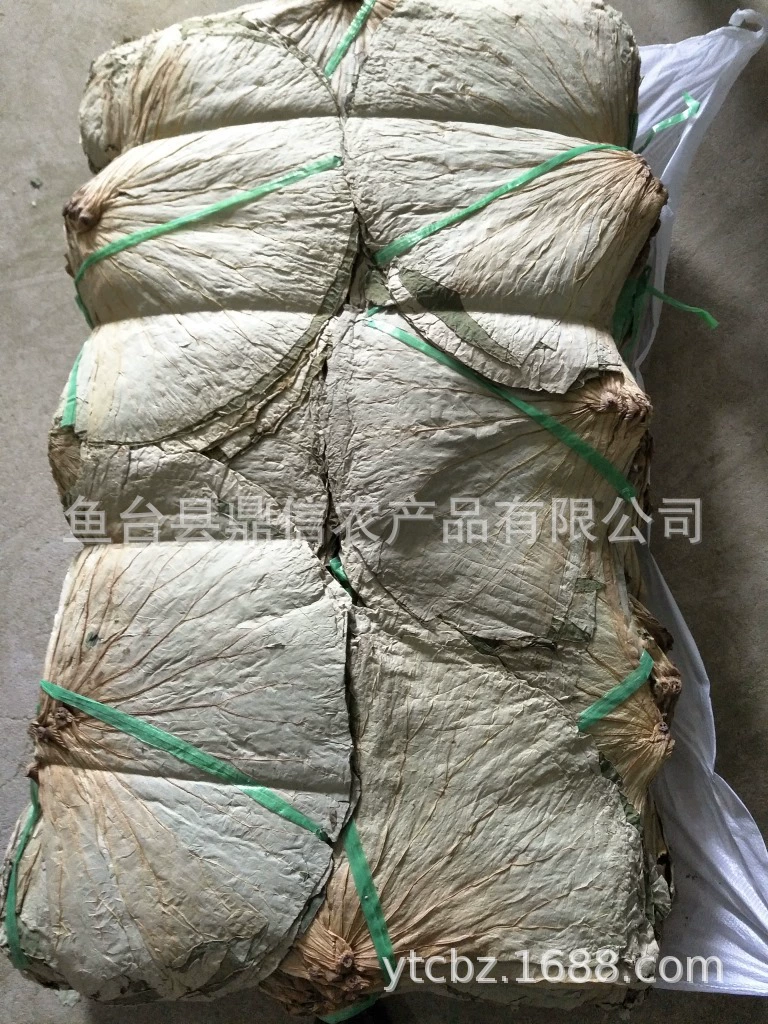 [Листья лотоса] Новый сезон