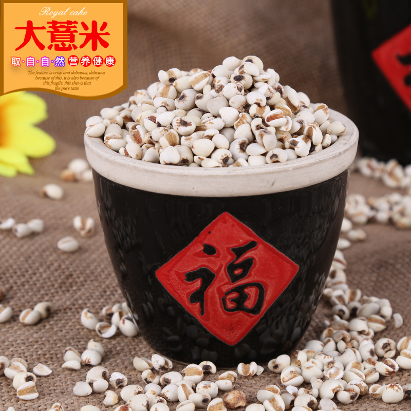 大薏米批发当季新粮大薏米仁大量现货大薏米仁 散装煮粥薏米养胃
