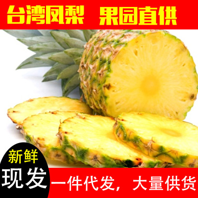 越南现摘新鲜小菠萝香水菠萝果海南手撕菠萝孕妇果除异味应季水果|ru