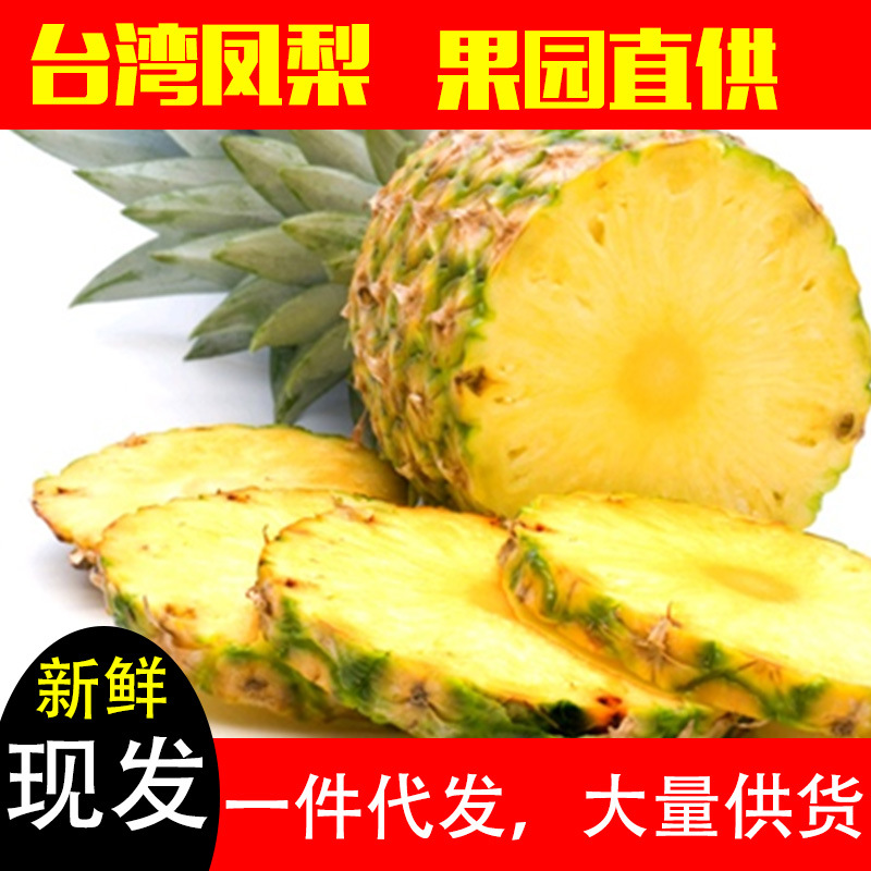 越南现摘新鲜小菠萝香水菠萝果海南手撕菠萝孕妇果除异味应季水果|ru