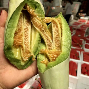 �п�ï�Aˮ���߲˷N����Ǵ���ϷN������������ִ�߼��������