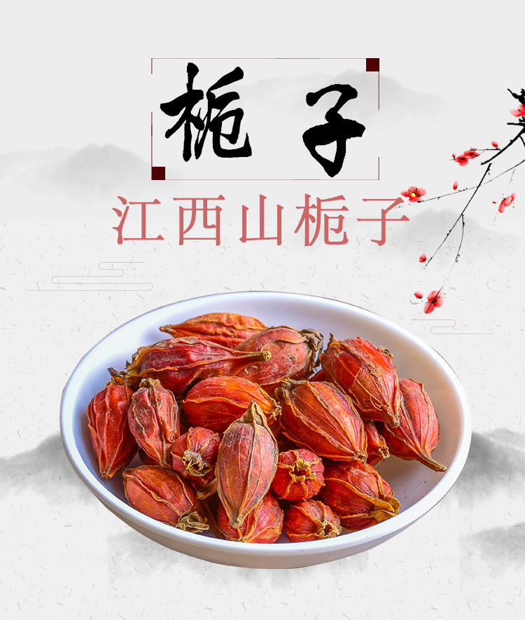 Zhi Zi (Gardenia jasminoides) — Dried Sulfur-Free Gardenia Fruit, Jiangxi Mountain Grown overview