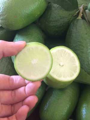 Seedless Perfume Green lemon 3 fresh fruit wholesale Hainan Thailand Green Lemon Perfume lemon Supplying