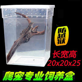爬虫盒爬宠盒蜘蛛蜥蜴变色龙睫角守宫树蛙专用透明饲养盒饲养箱