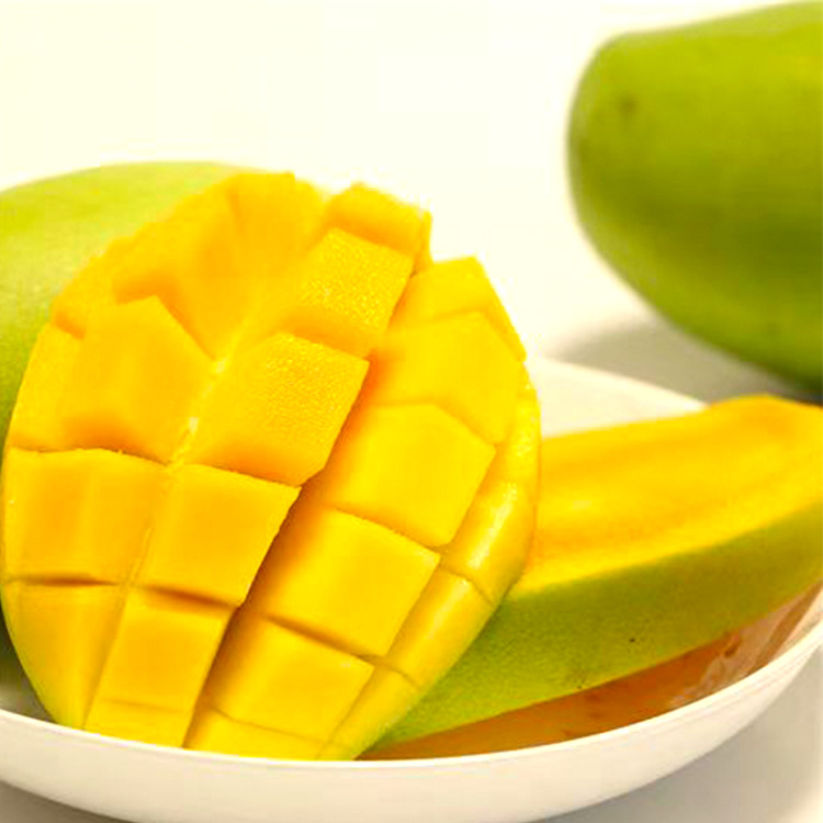 supply Vietnam Fragrant and sweet Mango Seductive Welcome wholesale Order