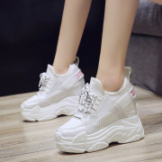 2018秋季新款韩版内增高女鞋11cm网面透气舒适厚底休闲鞋百搭单鞋