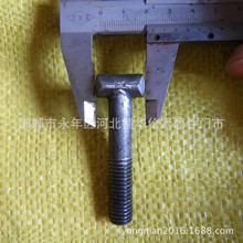 �S�ҹ��� ���B��˨ T��  �A�^/���^�ۼ��ݽz ���ֽz