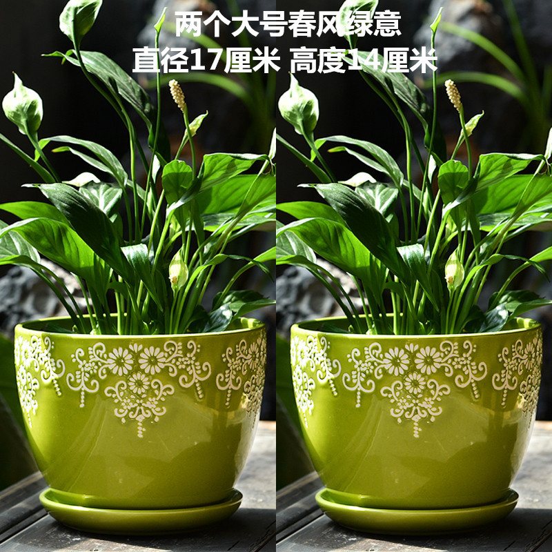 081_副本.jpg