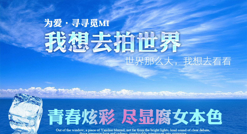 Bâton selfie en Acier inoxydable - Ref 3386435 Image 7