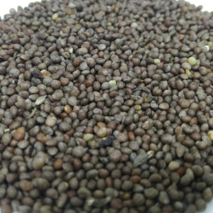 �a��؛Դ���K�Ӵ�؛���l���K��