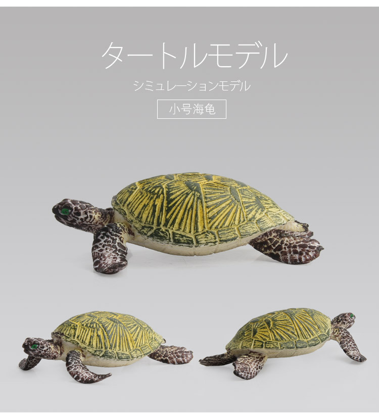 海龟模型_13