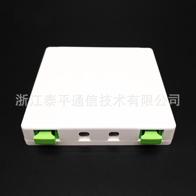 FTTH-双口面板 (1)