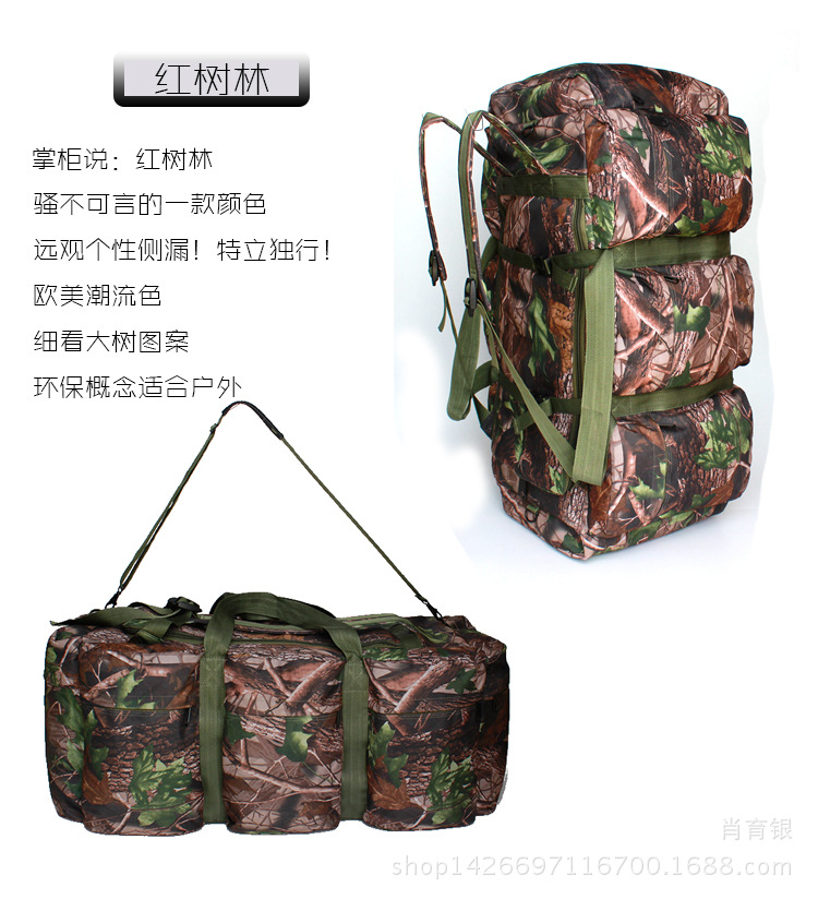 红树林.jpg