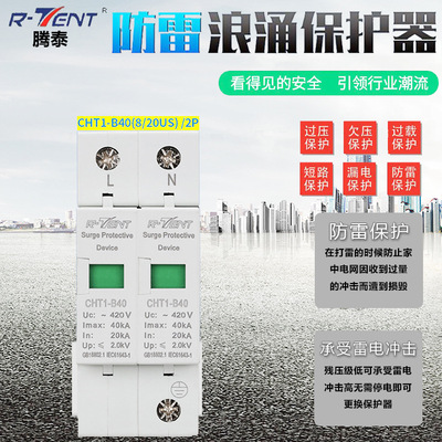 Teng Tai 2P40KVA Surge protector SPD Lightning Circuit breaker household lightning protection Protector