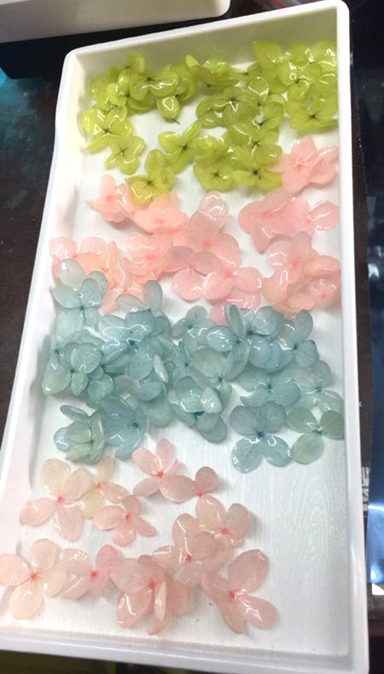 滴胶鲜花,滴胶木头,滴胶金鱼_大山谷图库