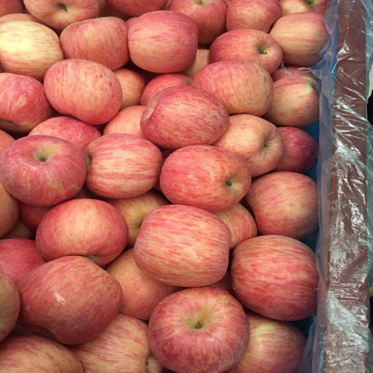 微信图片_20180307235540_副本