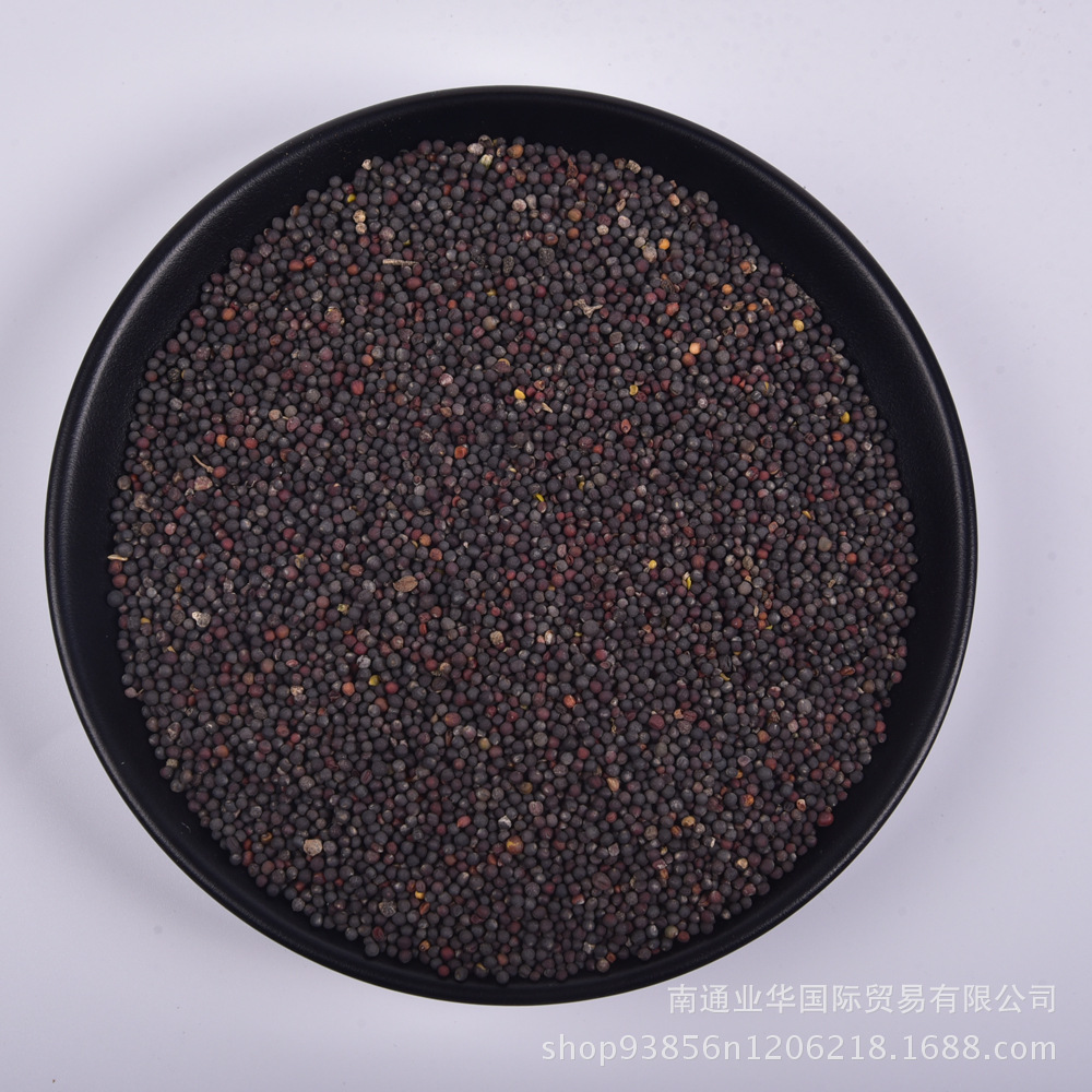 Rapeseed Non-GM direct deal Oil extraction material High oil output Net seeds Rapeseed oil