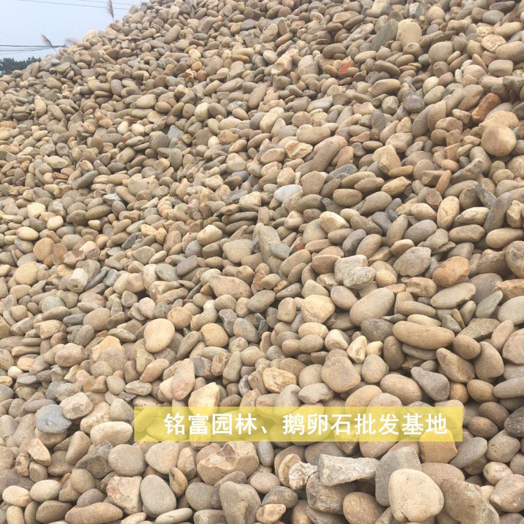 鹅卵石批发