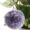 Dual -color purple