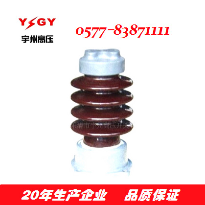 供应ZS-20/800 ZS-20/8绝缘子