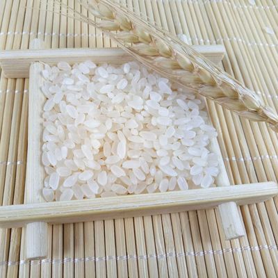 東北大米 【子昊雨薇】2018新米 500g壹件代發 黑龍江稻花香 1斤