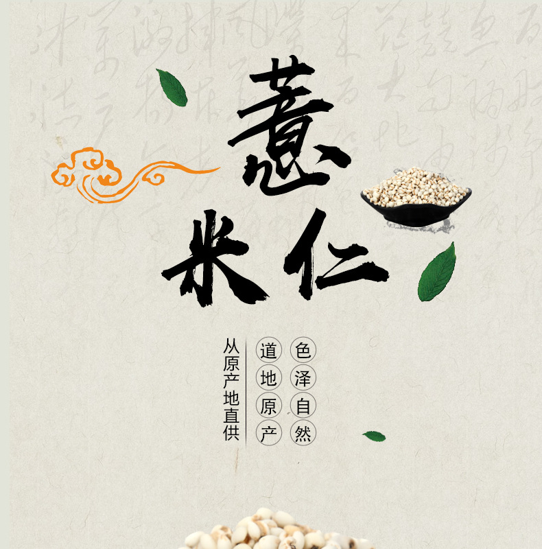 Yi Yi Ren (Coix Seed / Job's Tears) — Dried Food-Herb Grain for Tea, Soup & Congee overview